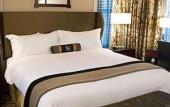 Туры в отель Copley Square Hotel