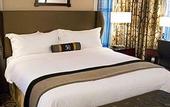 Туры в отель Copley Square Hotel
