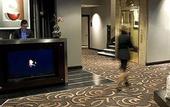 Туры в отель Copley Square Hotel