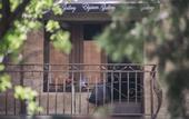 Туры в отель Elysium Gallery Hotel