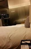 Туры в отель Starr Hotel Shanghai