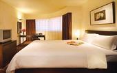 Туры в отель Copthorne King'S