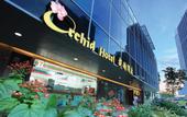 Туры в отель Orchid Hotel