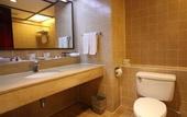 Туры в отель Copthorne Orchid