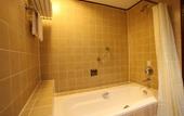 Туры в отель Copthorne Orchid