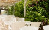 Туры в отель Hotel Vergina