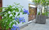 Туры в отель Brizo Weligama