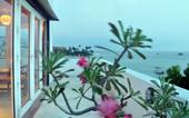 Туры в отель Mamas Coral Beach
