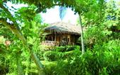 Туры в отель Coral Bay Resort and Spa