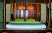 Туры в отель Coral Bay Resort and Spa