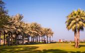 Туры в отель Coral Beach Resort Sharjah