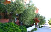Туры в отель Summer House Studios Nikiti