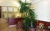 Туры в отель Domus Aventina