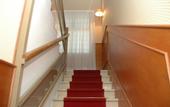 Туры в отель Hotel Shasa