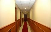 Туры в отель Hotel Shasa