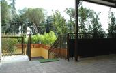 Туры в отель Hotel Shasa