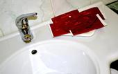 Туры в отель Hotel Shasa