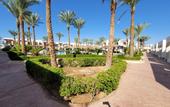 Туры в отель Coral Hills Resort