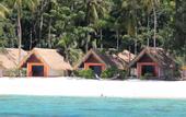 Туры в отель Coral Island Resort