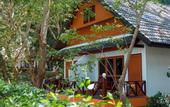Туры в отель Coral Island Resort