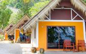 Туры в отель Coral Island Resort