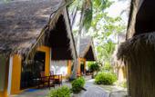 Туры в отель Coral Island Resort