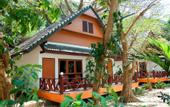 Туры в отель Coral Island Resort