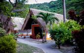 Туры в отель Coral Island Resort