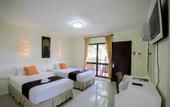 Туры в отель Coral Island Resort