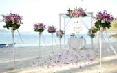 Туры в отель Coral Island Resort