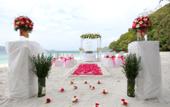 Туры в отель Coral Island Resort