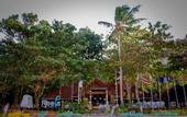 Туры в отель Coral Island Resort