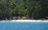 Туры в отель Coral Island Resort