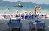 Туры в отель Coral Island Resort