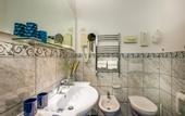Туры в отель Hotel Collodi
