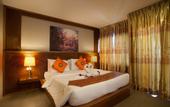 Туры в отель The Gig Hotel
