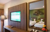 Туры в отель The Gig Hotel