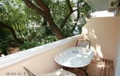 Туры в отель Villa Blazo