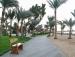 Туры в Dahab Lagoon Club and Resort