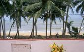 Туры в отель Petter`s Beach Inn
