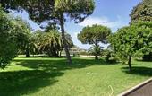 Туры в отель Coralia Club Marina Viva