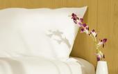 Туры в отель Ibis One Central