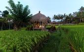 Туры в отель Mathis Retreat