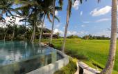 Туры в отель Mathis Retreat