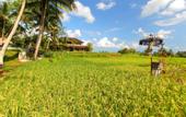 Туры в отель Mathis Retreat