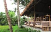 Туры в отель Mathis Retreat