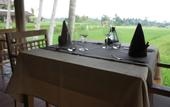 Туры в отель Mathis Retreat