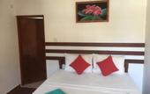 Туры в отель Drifters Hotel