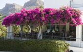 Туры в отель Rea Resort Hotel