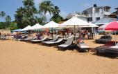 Туры в отель SurfCity Guesthouse Unawatuna